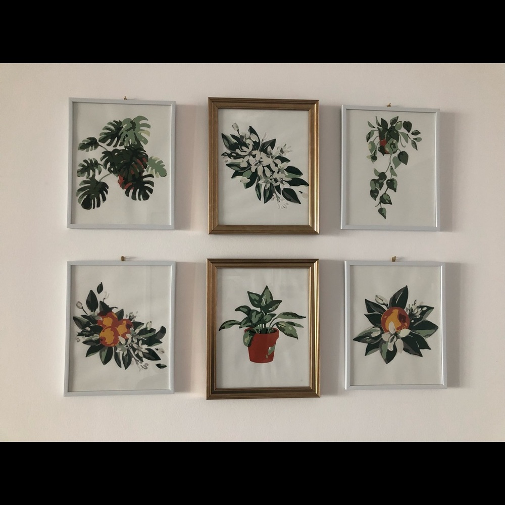 Hand painted house plant gallery wall art